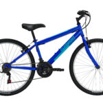 Freeland-26-Blue(1)